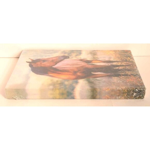 Horse-Themed Fabric Cover Journal 5.75" X 8.25" 256 Pages By Bella Bug NEW - Picture 4 of 7